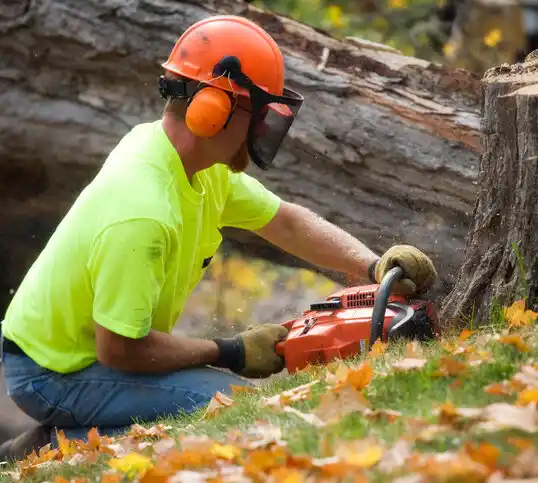 tree services Rayne